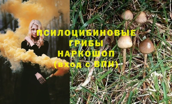 скорость Нея