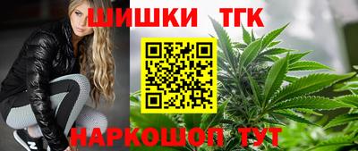мдпв Обь